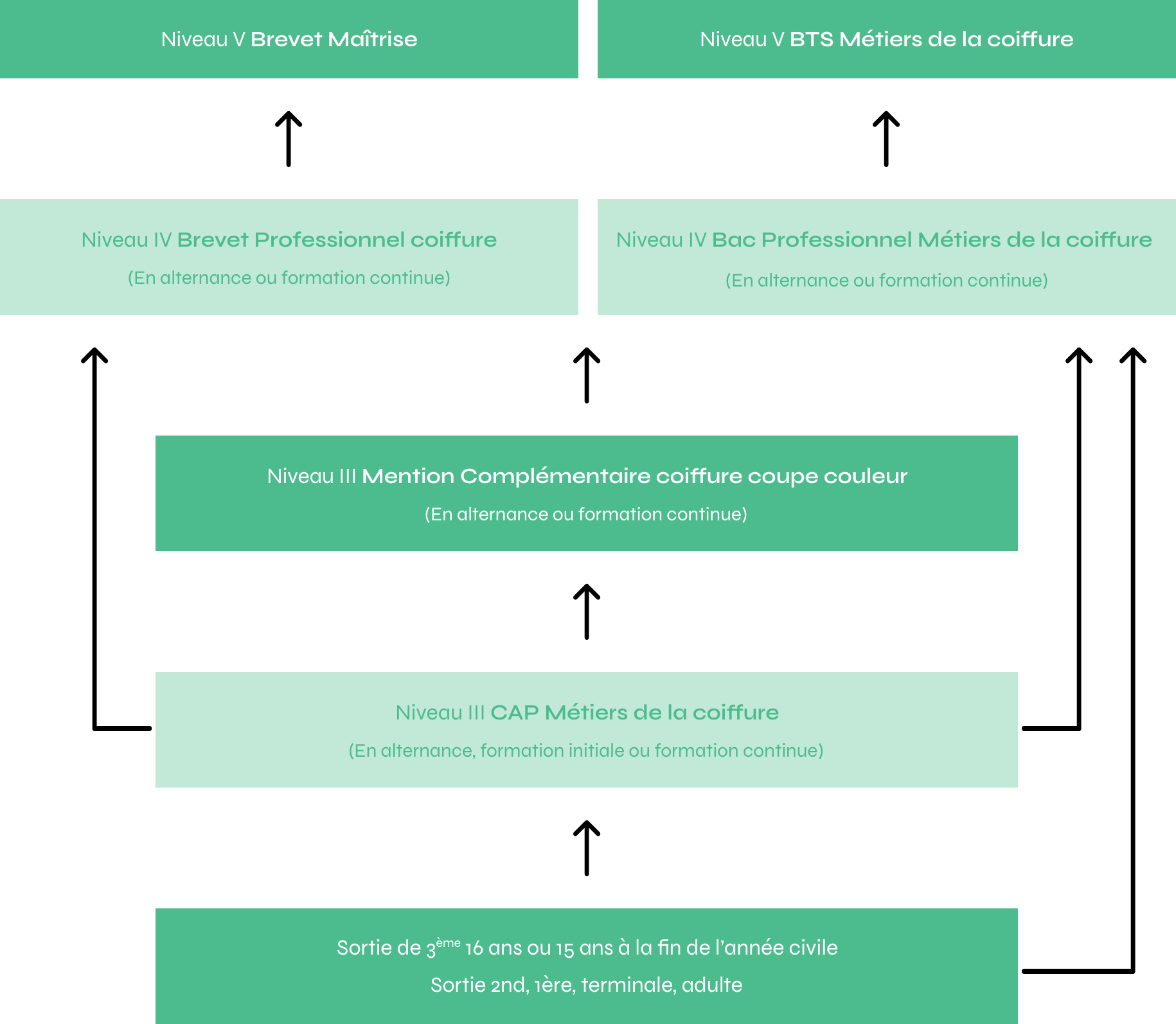 Schema des formations de l'école de coiffure